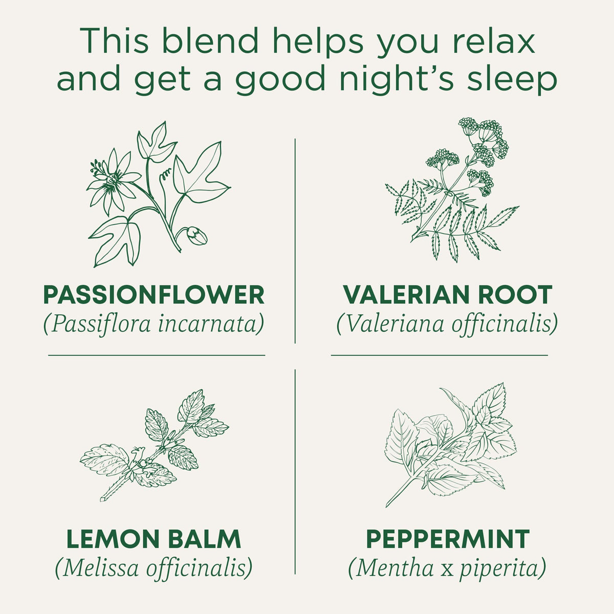 Traditional Medicinals Nighty Night Extra brewed cup ready to enjoy a soothing moment.