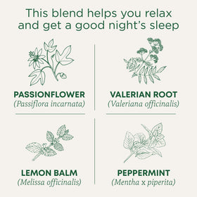 Traditional Medicinals Nighty Night Extra brewed cup ready to enjoy a soothing moment.