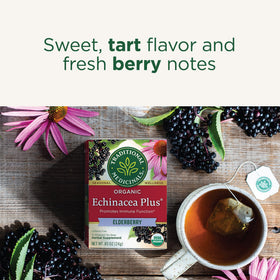 Organic echinacea and elderberry blend from Traditional Medicinals