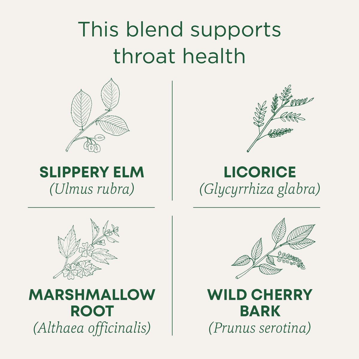 Traditional Medicinals Organic Label close-up shows certified organic ingredients for purity and quality.