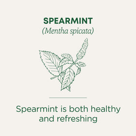 Traditional Medicinals Organic Spearmint tea bags closeup on packaging.