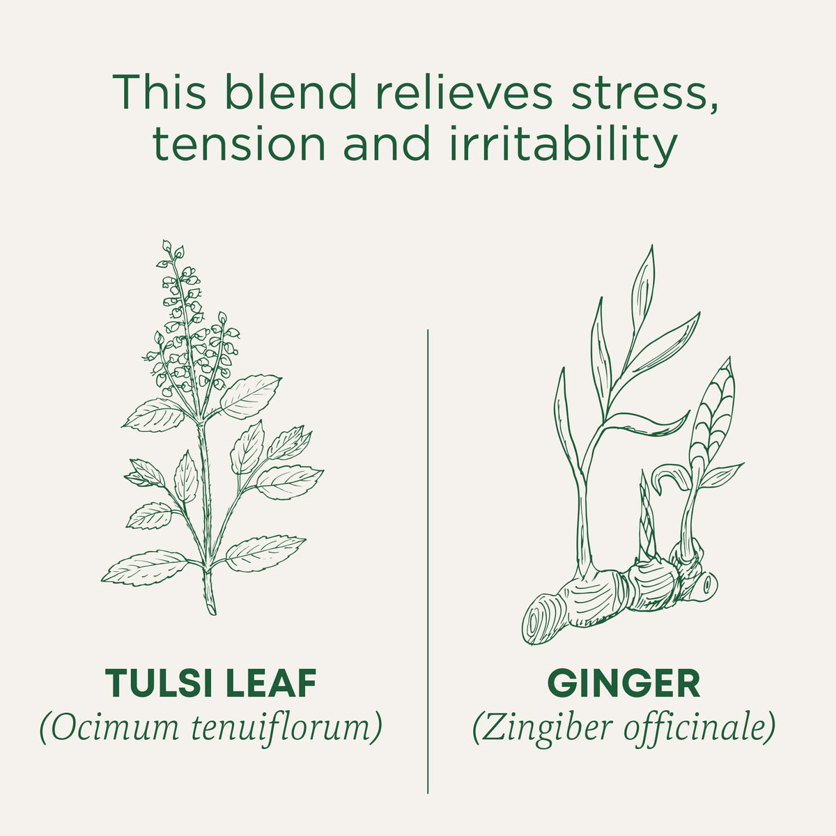 Traditional Medicinals Organic Tulsi & Ginger packaging showing label and logo