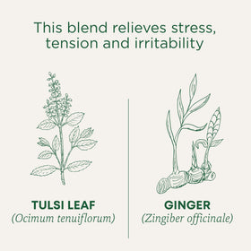 Traditional Medicinals Organic Tulsi & Ginger packaging showing label and logo