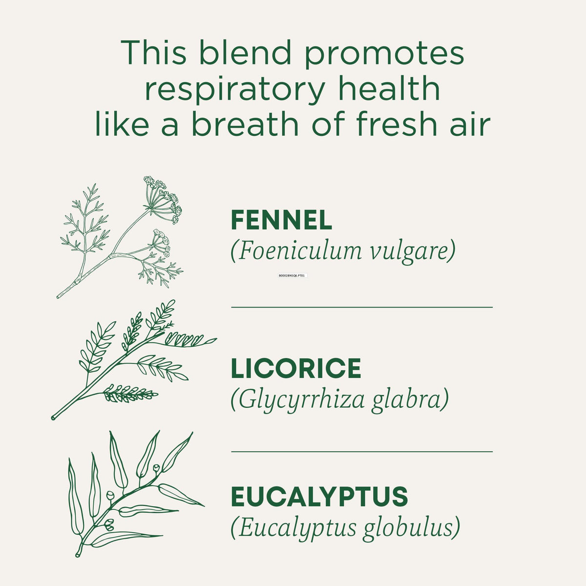 Traditional Medicinals six-box pack for convenient everyday tea moments