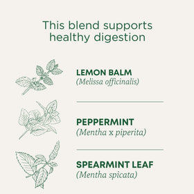 Traditional Medicinals Peppermint Delight steeping cup showing refreshing mint aroma after meals.