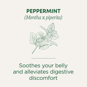 Traditional Medicinals peppermint leaves closeup with rich essential oils.