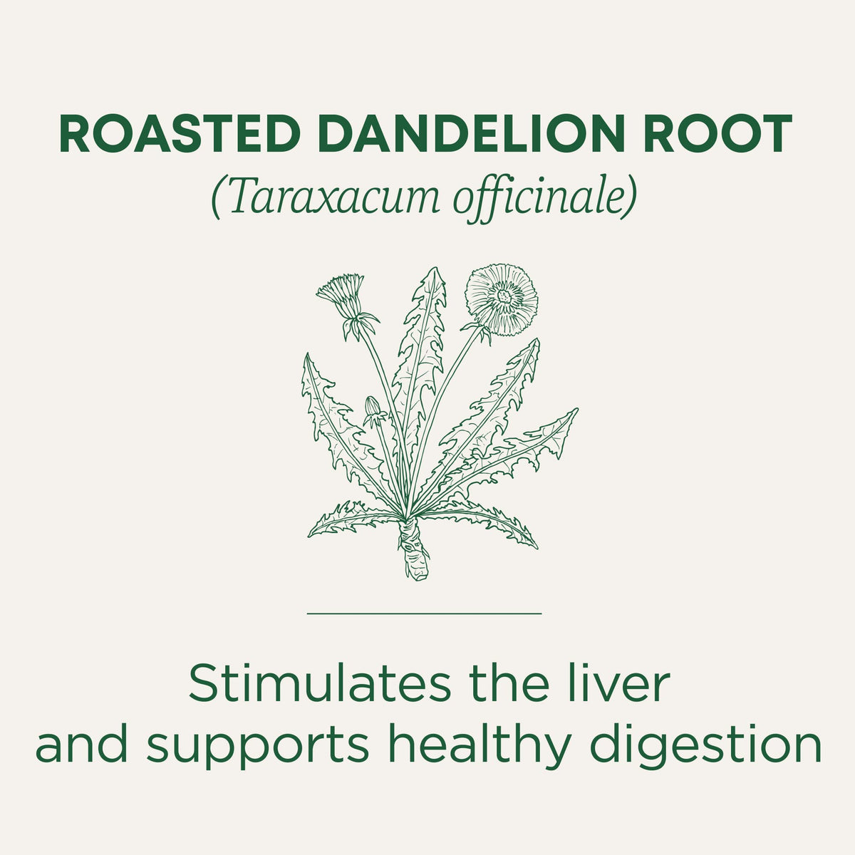 Traditional Medicinals dandelion root carton shows organic and kosher certifications.