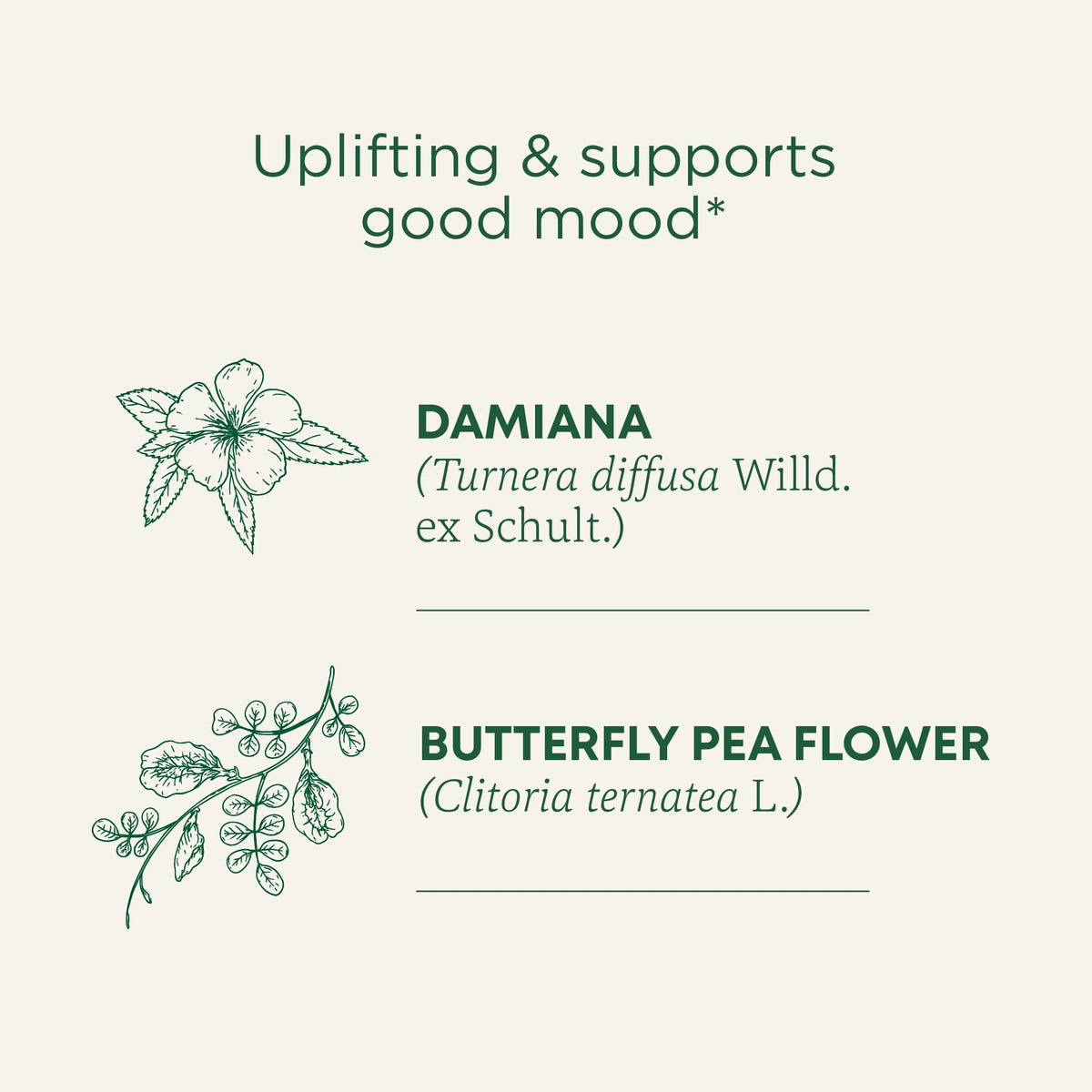 Traditional Medicinals Rosy Mood blend with damiana and rose supports uplifting moments