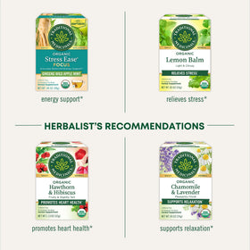 Traditional Medicinals Rosy Mood steeping cup creates a mildly tart floral infusion