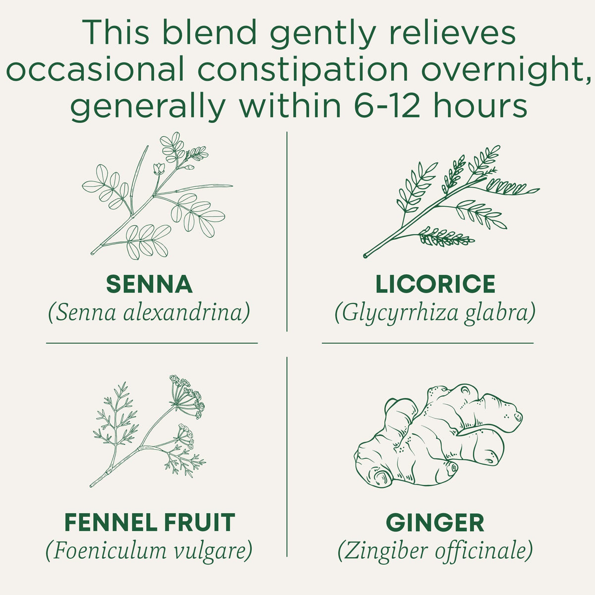 Senna leaf close-up illustrating the herbal blend used in Smooth Move.
