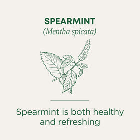 Traditional Medicinals Spearmint tea cup ready to enjoy the minty, aromatic brew.