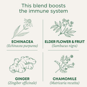 Steaming cup of Traditional Medicinals echinacea plus elderberry tea for cozy moments