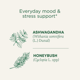 Traditional Medicinals Stress Ease Calm box on shelf supports daily calm rituals