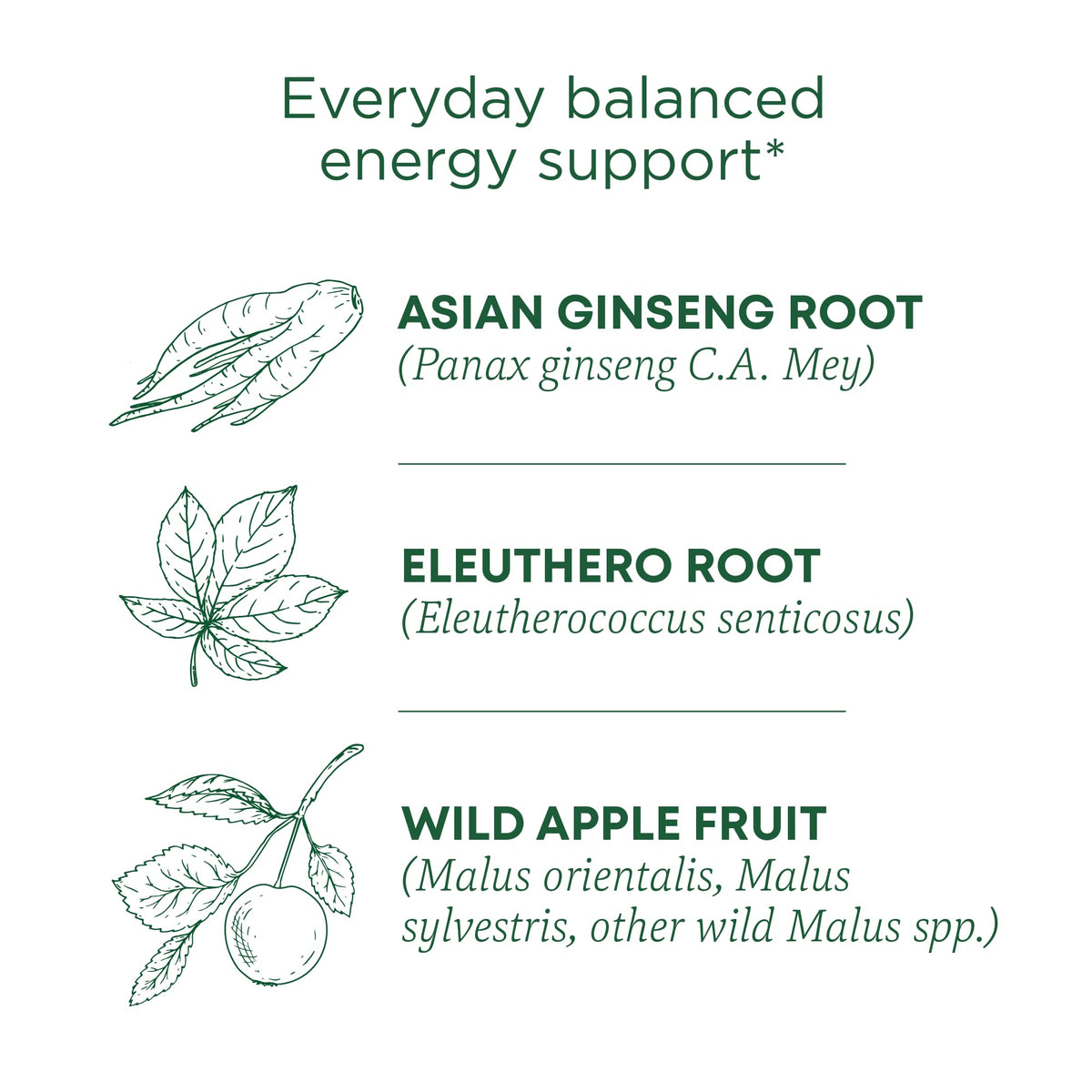 Traditional Medicinals Stress Ease Focus box packaging highlights organic ingredients and eco-friendly packaging.