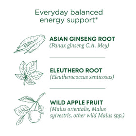 Traditional Medicinals Stress Ease Focus box packaging highlights organic ingredients and eco-friendly packaging.