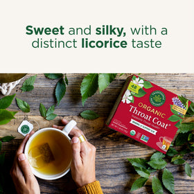 Traditional Medicinals Tea Bags Close-Up featuring neat packaging and accessibility.
