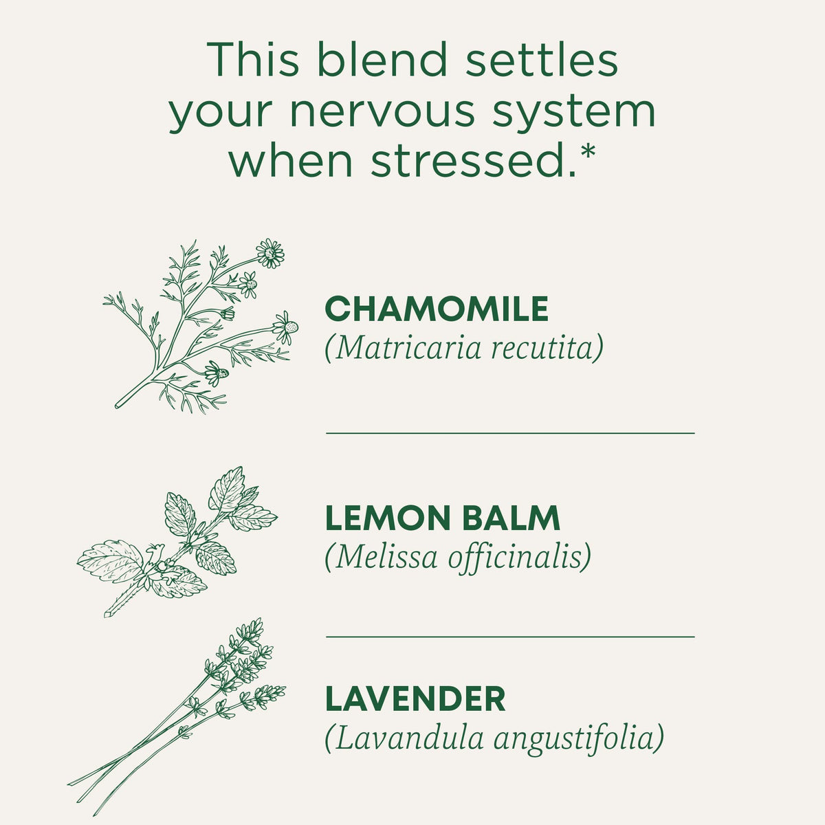 Traditional Medicinals Chamomile Lavender tea bags close-up with fragrant notes for a soothing ritual.
