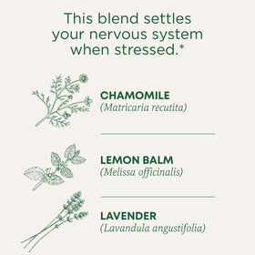 Traditional Medicinals Chamomile Lavender tea bags close-up with fragrant notes for a soothing ritual.