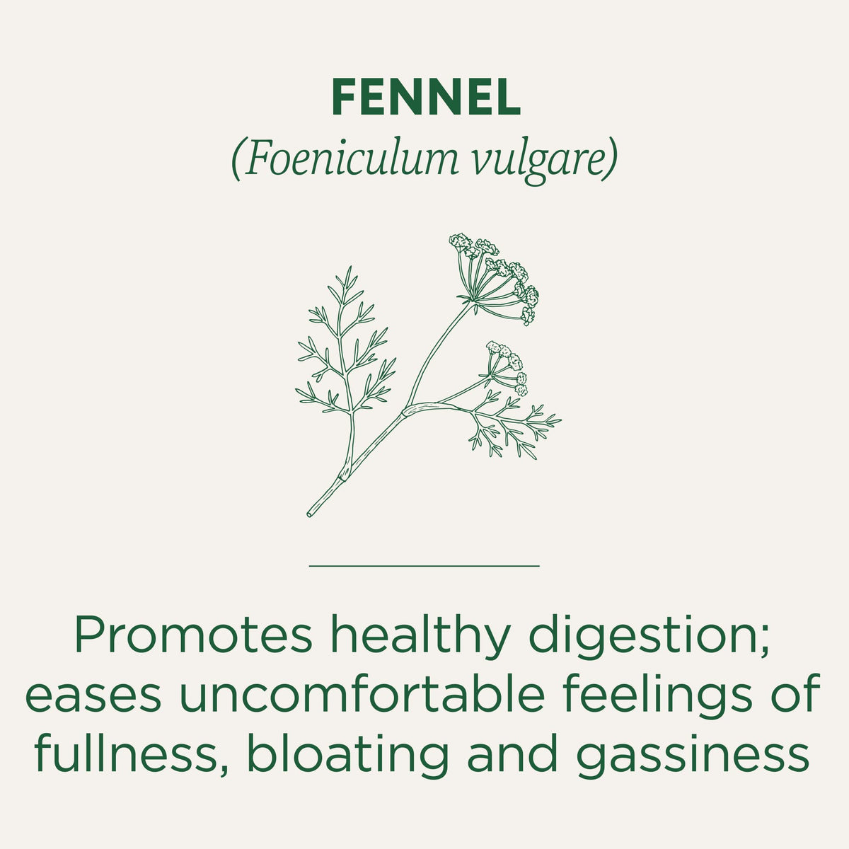 Traditional Medicinals Organic Fennel box packaging highlights organic ingredients