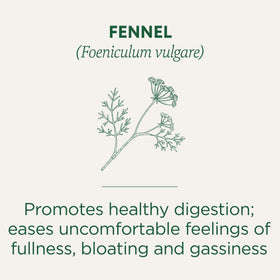 Traditional Medicinals Organic Fennel box packaging highlights organic ingredients