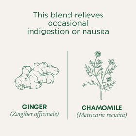 Close-up of Traditional Medicinals ginger-chamomile tea bag