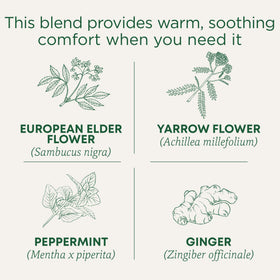 Traditional Medicinals tea bags in a pack highlight freshness and convenience.