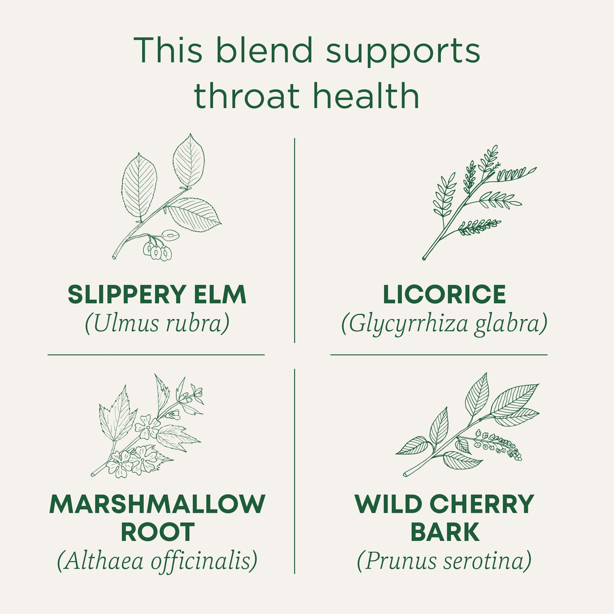 Traditional Medicinals Organic Throat Coat tea bags arranged for convenient daily use.