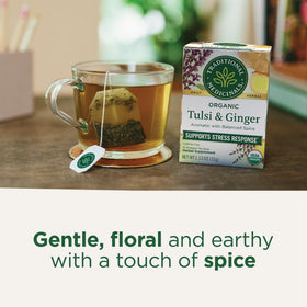 Traditional Medicinals Tulsi Ginger tea cup steeping with aromatic steam