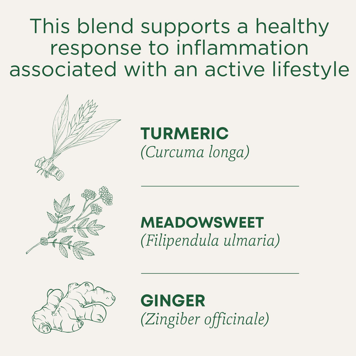 Traditional Medicinals turmeric tea bags for quick, soothing brews.