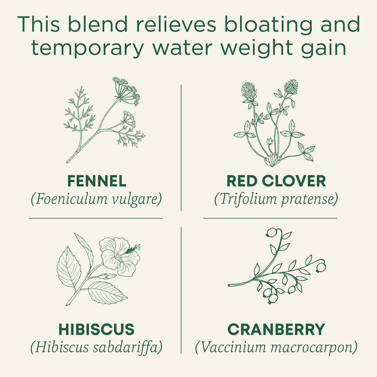 Traditional Medicinals Weightless Cranberry tea bags arranged for a soothing moment
