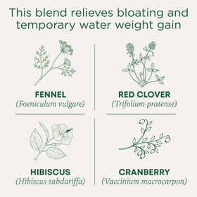 Traditional Medicinals Weightless Cranberry tea bags arranged for a soothing moment