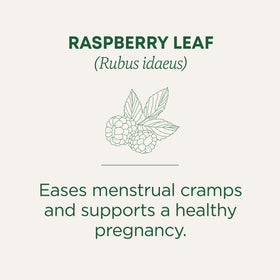 Wild-harvested raspberry leaf from meadow used by Traditional Medicinals.