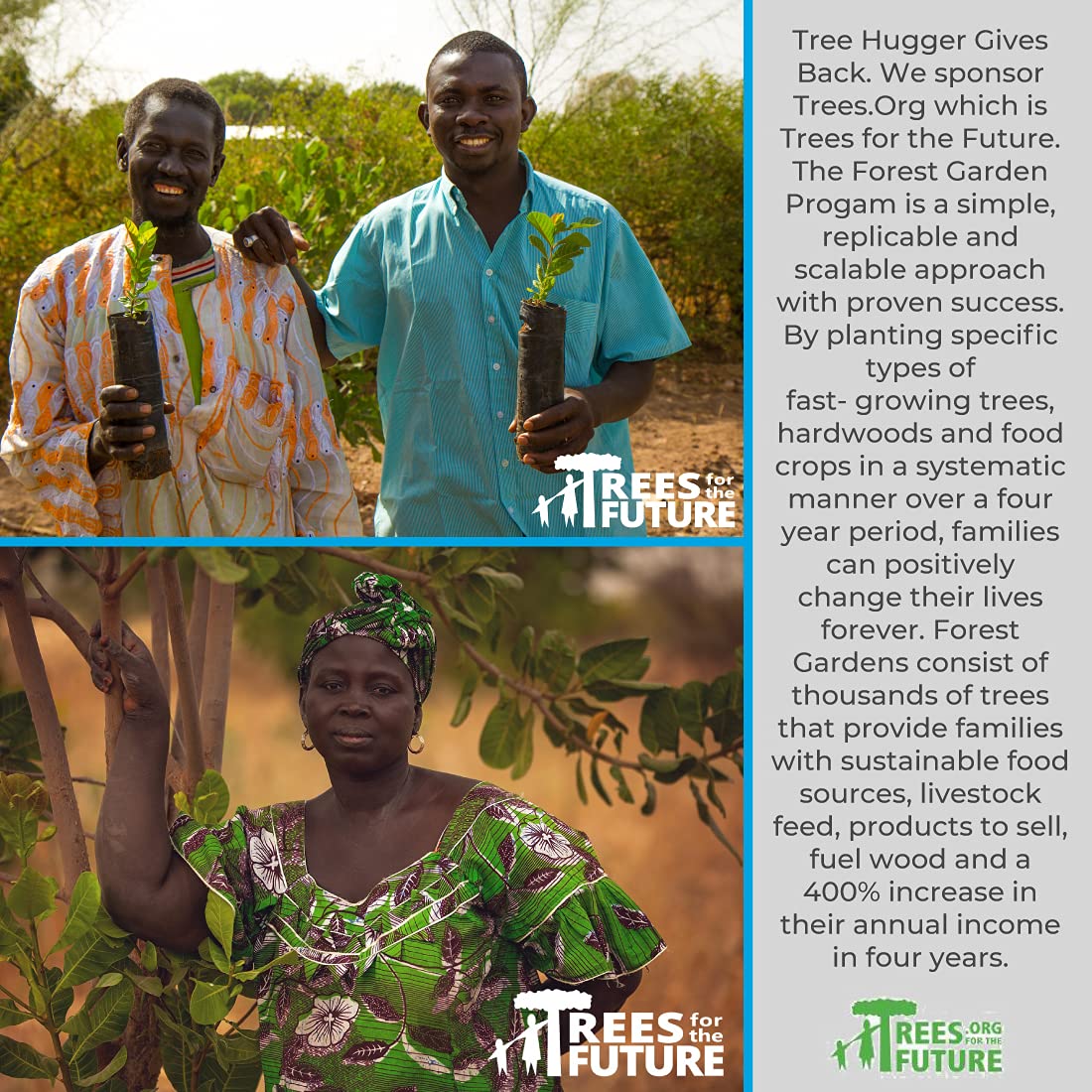 Tree Hugger Fantastic Fruit contains no corn syrup and supports careful ingredient sourcing.