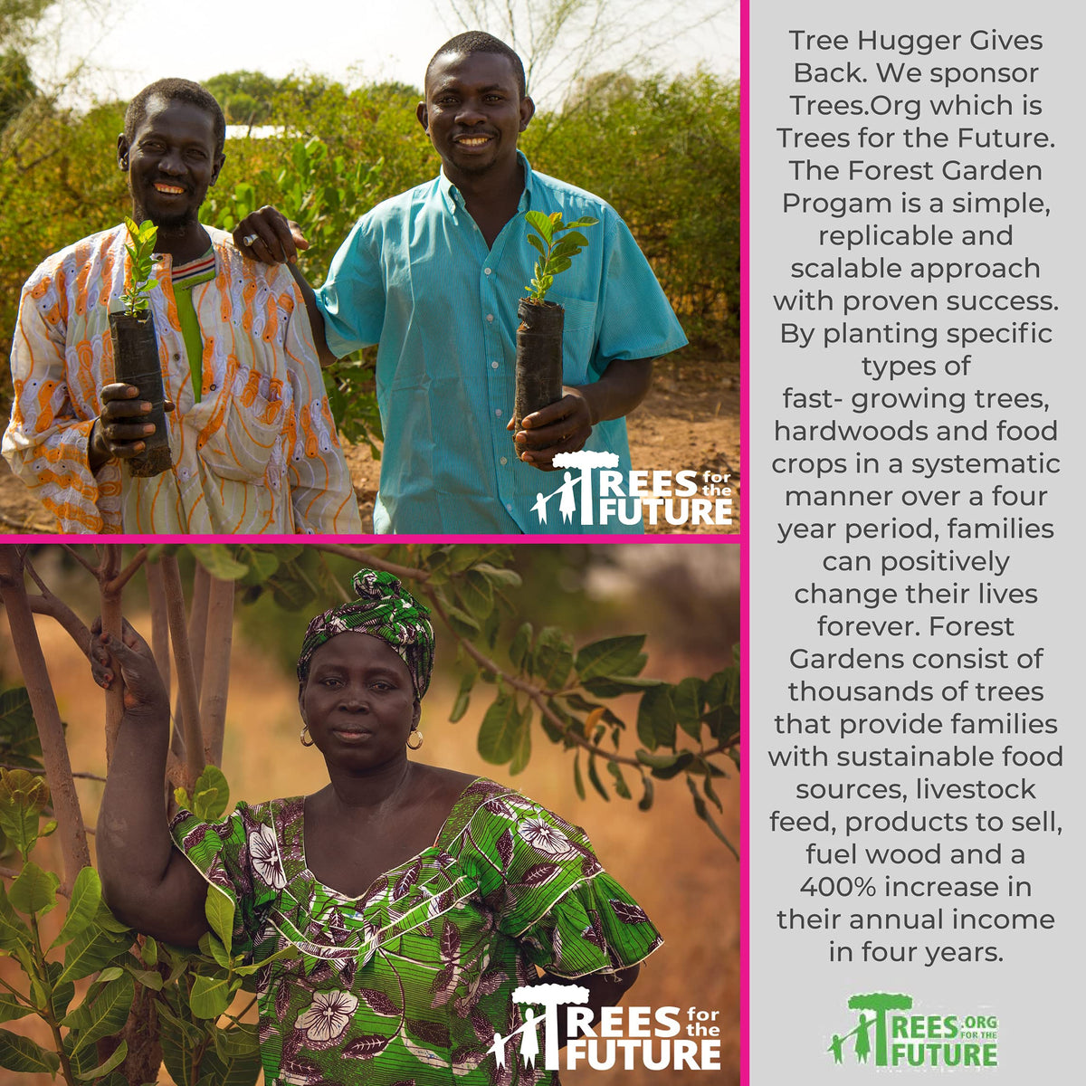 Tree Hugger Fantastic Fruit is Kosher Parve and gluten-free.