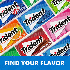 Trident Bubblegum Sugar Free Gum branding label shows trusted product details