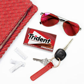 Trident Cinnamon Sugar-Free Gum in hand showing portable chew