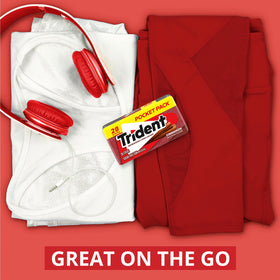 Trident Cinnamon Sugar Free Gum office-travel-friendly keeps freshness handy.