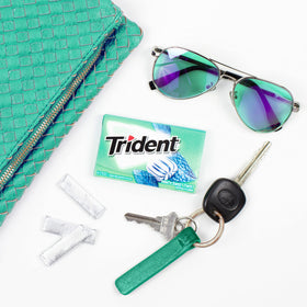 Trident Minty Sweet Twist individually wrapped stick highlights freshness and on-the-go use.