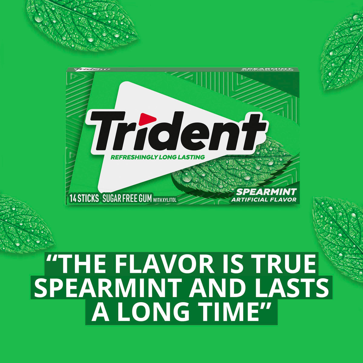 Trident Spearmint sugarfree gum flavor offers a crisp, refreshing experience