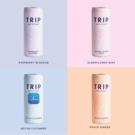 TRIP Lightly Sparkling botanicals ingredients image spotlights Mindful Blend and adaptogens