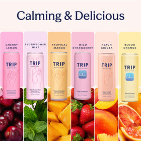 TRIP Lightly Sparkling 12 pack pack-shot emphasizing variety and shareability