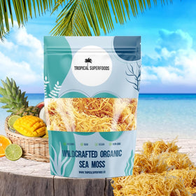 Tropical Superfoods sun-dried sea moss in natural setting.