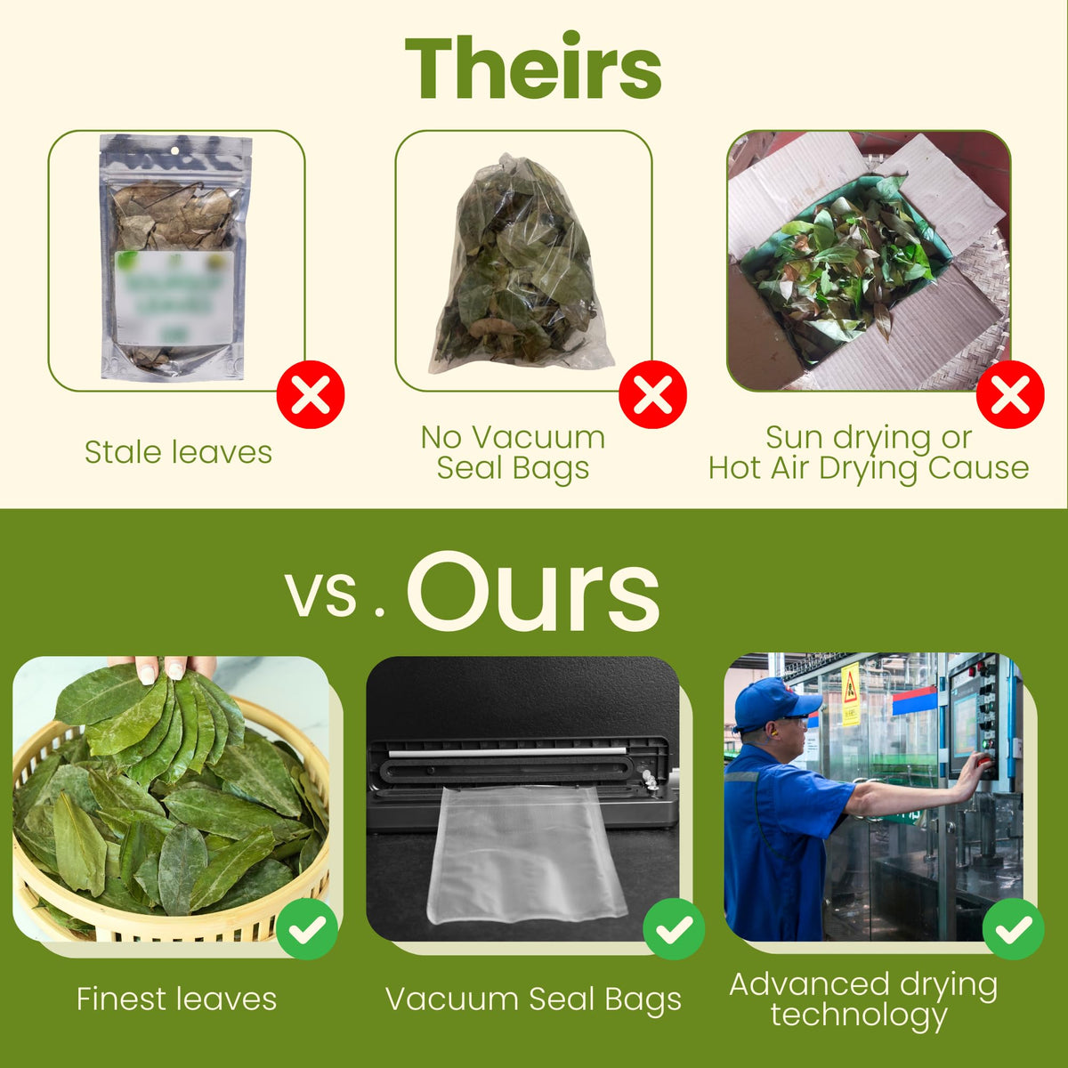 Eco-friendly kraft packaging preserves freshness and reduces waste
