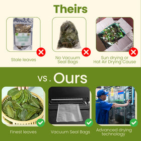 Eco-friendly kraft packaging preserves freshness and reduces waste