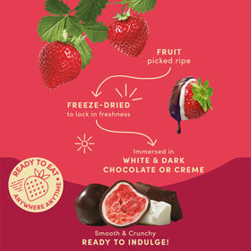 Tru Fru Dark Chocolate Dipped Fruit: bold flavor with real fruit for a premium treat
