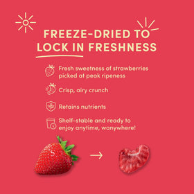 Tru Fru freeze dried fruit snack pack shown as travel-friendly treat