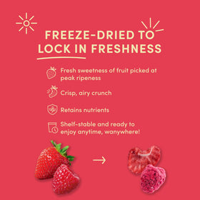 Tru Fru White Chocolate Dipped Fruit: creamy coating complements fruity crunch for a snack
