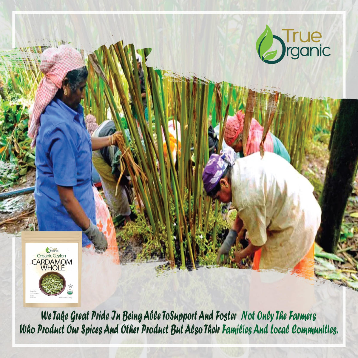 True Organic Cardamom Whole carries USDA Organic and Kosher seals.