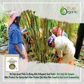 True Organic Cardamom Whole carries USDA Organic and Kosher seals.