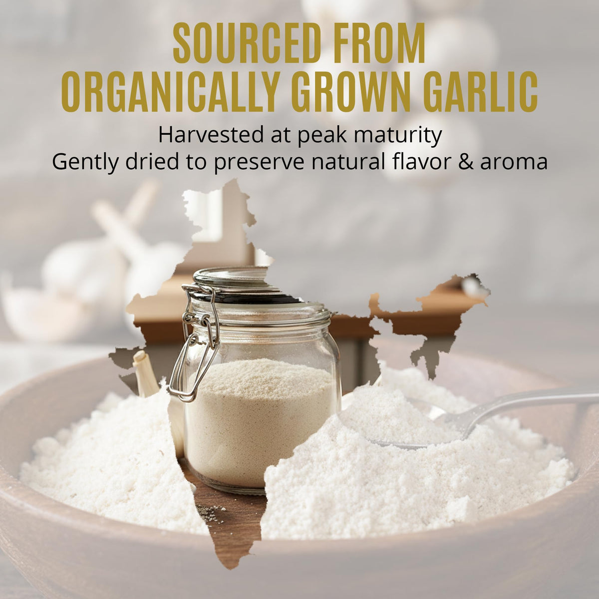 True Organic Garlic Powder USDA-certified label emphasizing quality